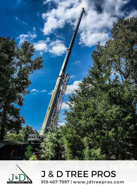 J & D Tree Pros
